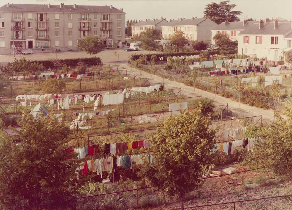 Hauts-Quartiers : jardins de la résidence Lamartine, Saumur.